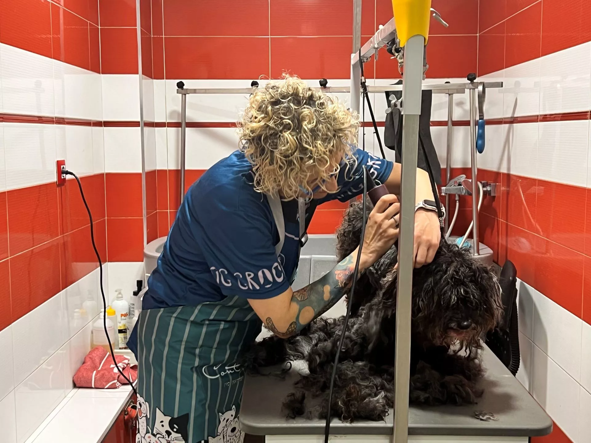 Mujer cortando el pelo con maquinilla a un perro
