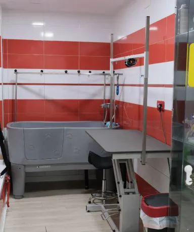 Bañera para baños y mes de peluquería